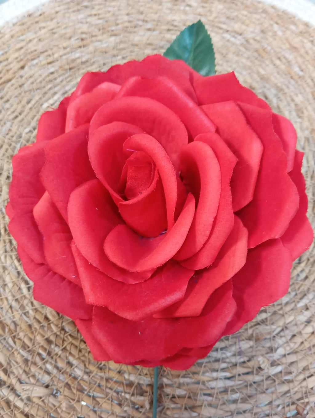 ROSAS GRANDES