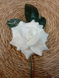 ROSAS PEQUEÑAS