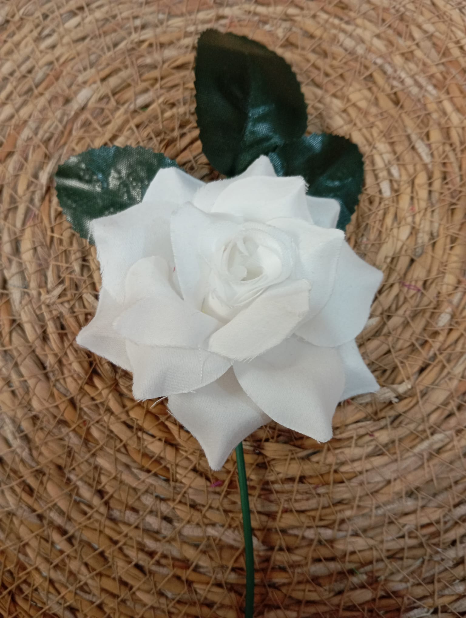 ROSAS PEQUEÑAS