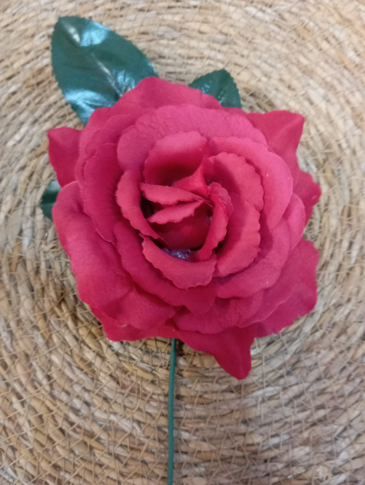 ROSAS MEDIANAS