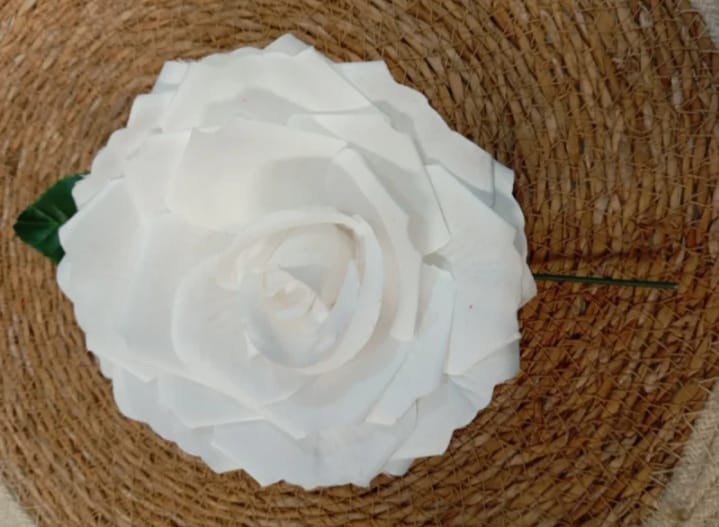 ROSAS GRANDES